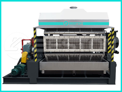 fully automatic egg tray machine price