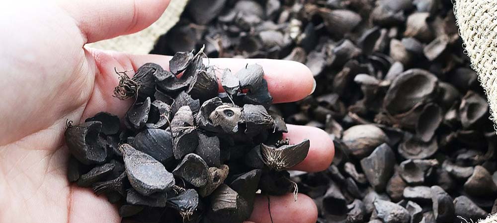 Palm Kernel Shells